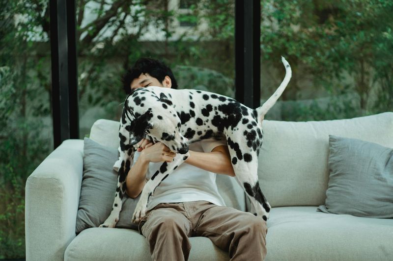 18 Proven Reasons Dogs Are Humanity’s Most Faithful Companions 19 Living in the Moment