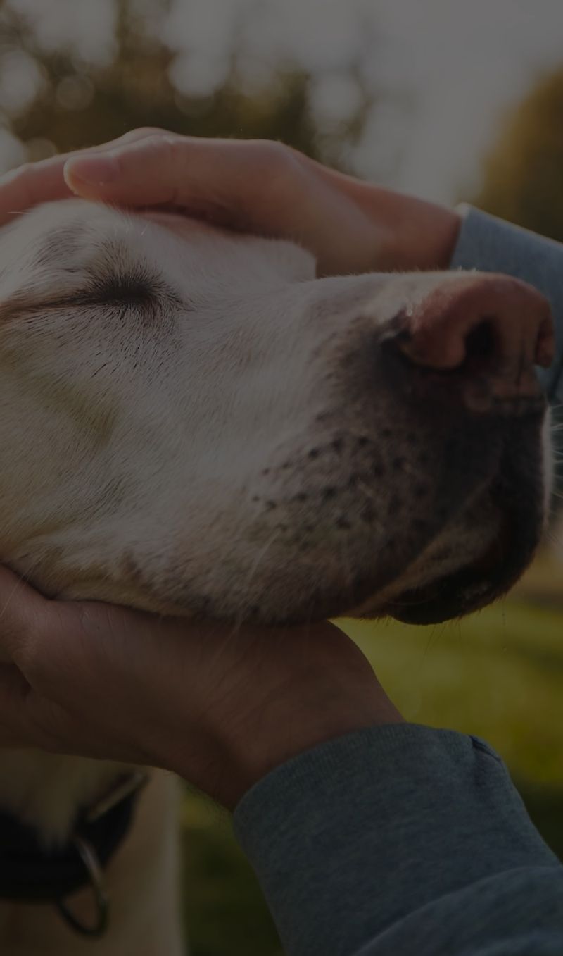 Wanting to be closer to you than ever before