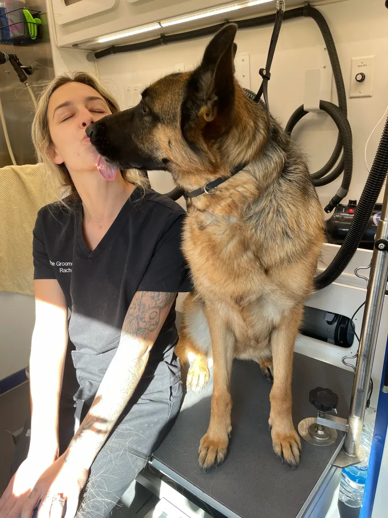 Their grooming needs are significant