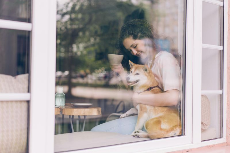 14 Quiet and Apartment-Friendly Dog Breeds That Are Unlikely to Disturb Neighbors 6 Shiba Inu