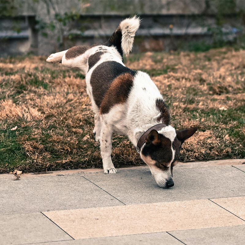 Changes in bathroom habits