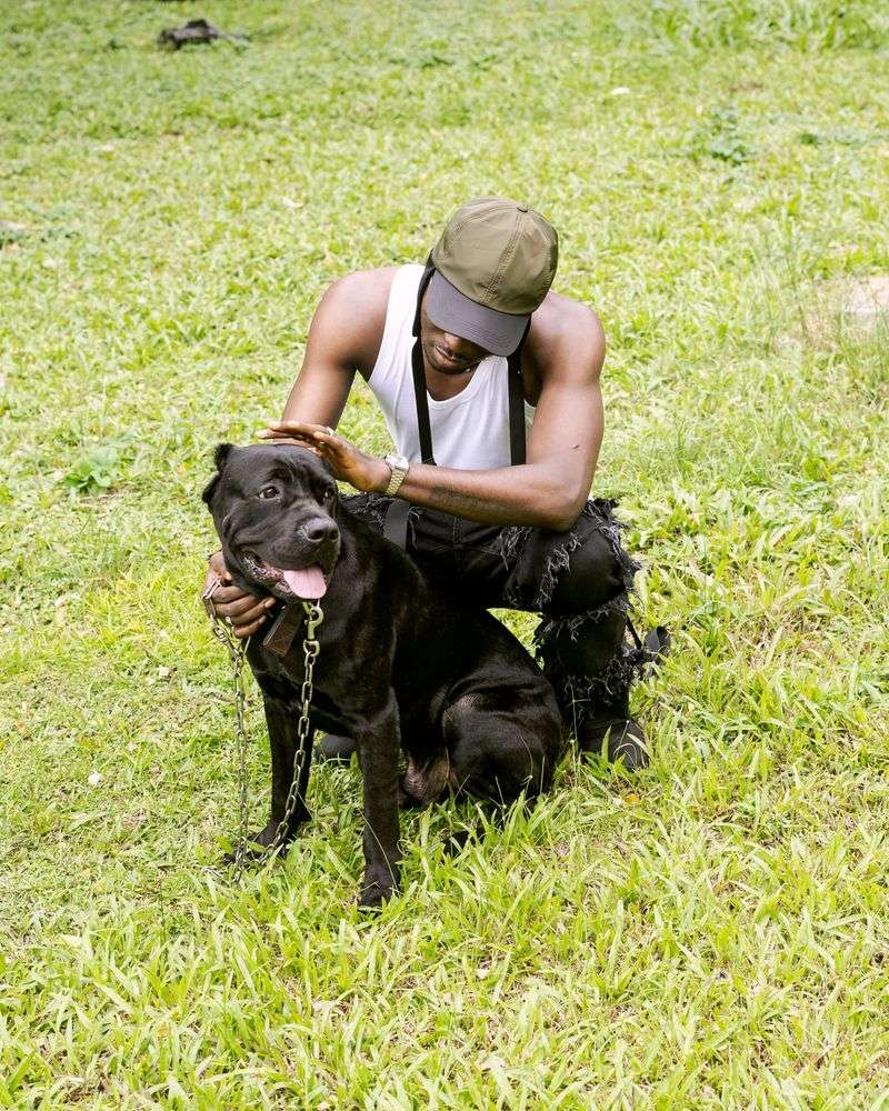 A dog that reacts to everything isn't necessarily the dog you want protecting your home 6 Cane Corso