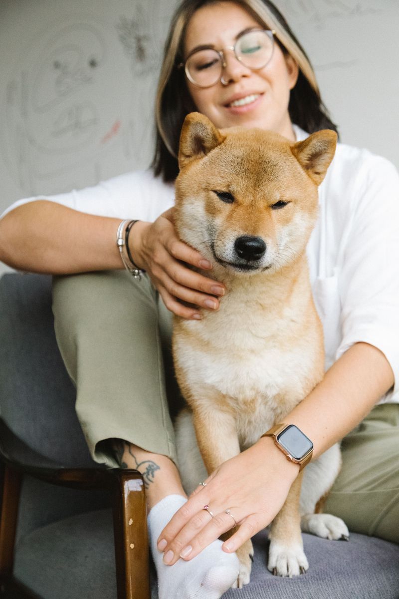 Akita