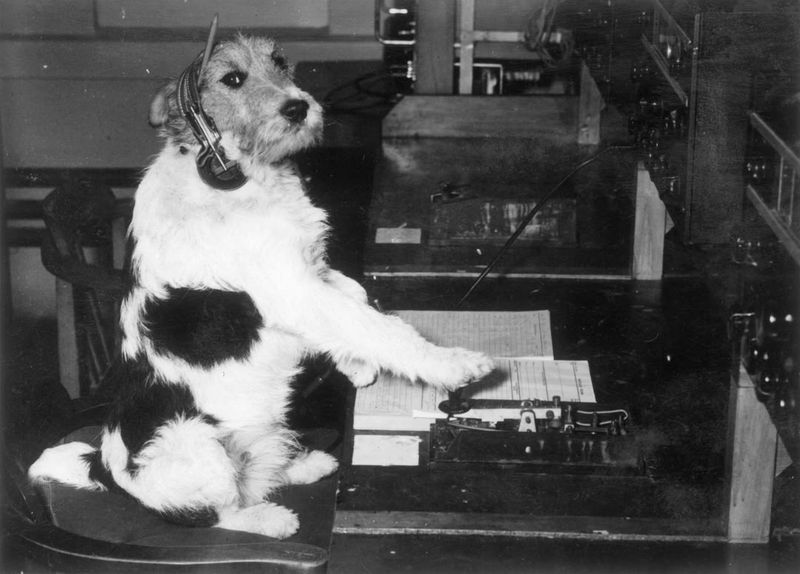 Loss of Interest in Favorite Activities