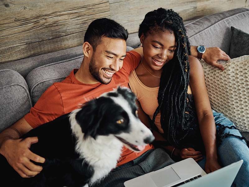 20 Important Factors to Consider Before Purchasing a Dog from a Breeder 14 Adoption Fees Are Significantly Lower