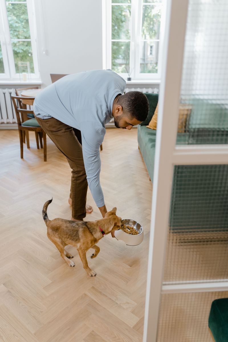 If your dog follows you into every room, here's what they're really practicing 3 Reading Your Routine