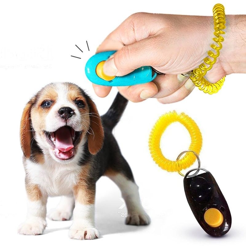 Training Leash with Clicker