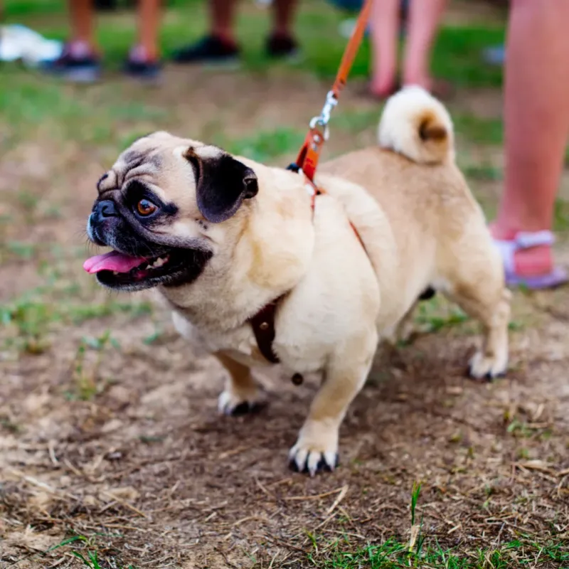 Not Allowing Enough Time for Bathroom Breaks