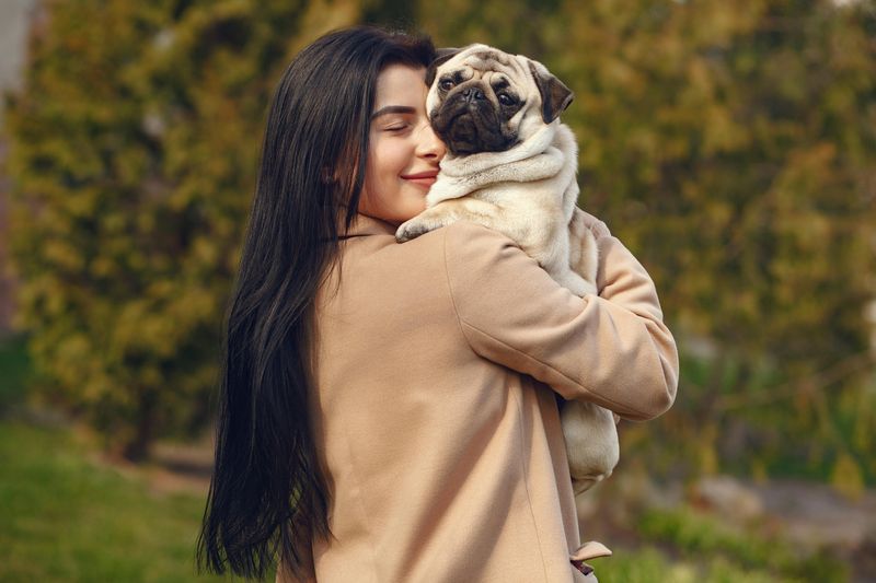 Pug