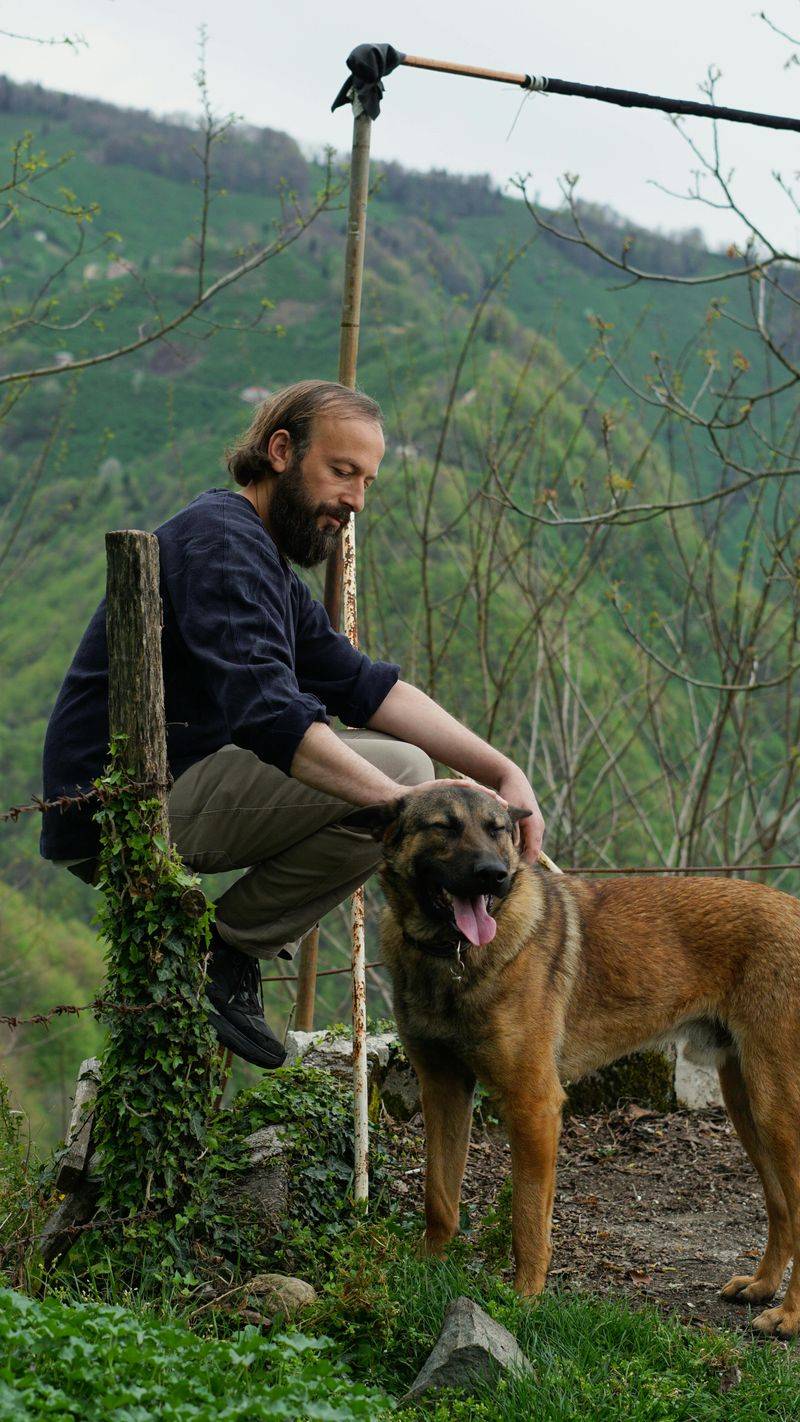 17 Adventure-Ready Dog Breeds That Thrive on Road Trips 10 Belgian Malinois