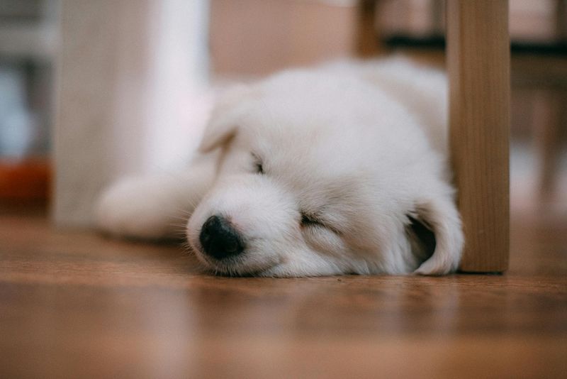 Sleeping more than usual,