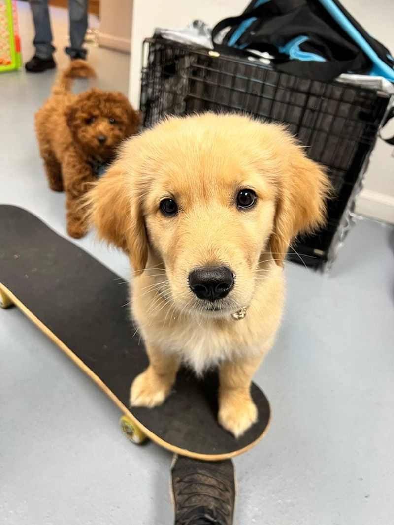 Practice positive reinforcement