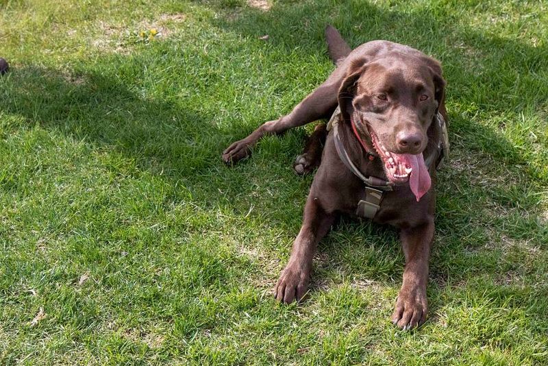 They Wait for Cues Before Acting
