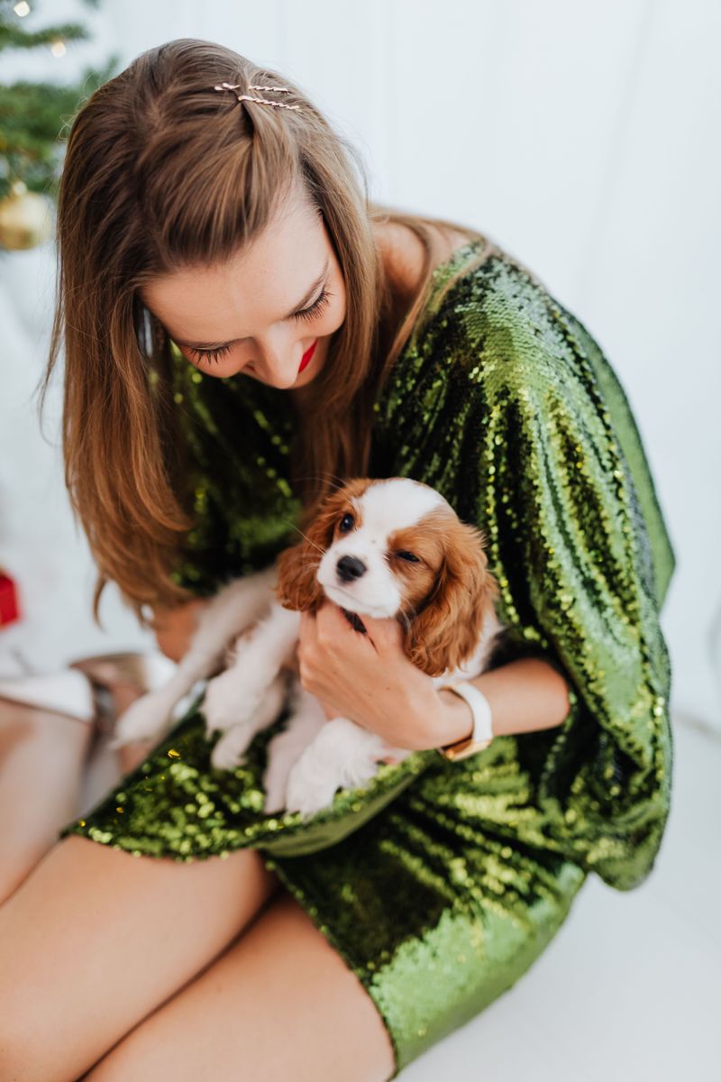 Human closeness isn't optional for these 10 deeply social dog breeds 5 Cavalier King Charles Spaniel