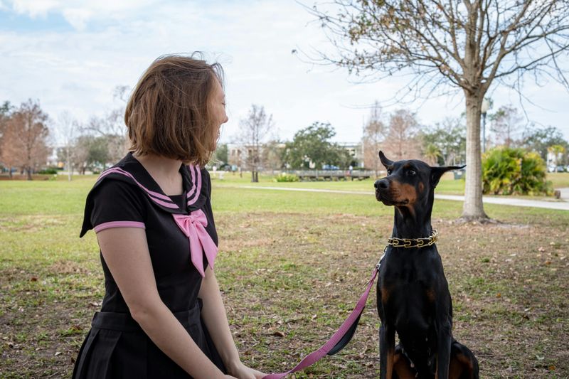 28 Dog Breeds That Show Remarkable Empathy Toward Their Owners 18 Doberman Pinscher