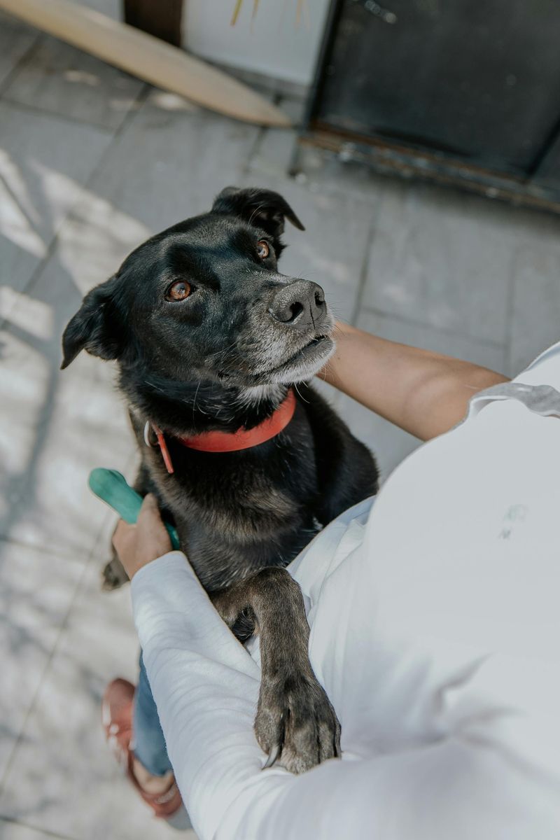 Brushing Against You