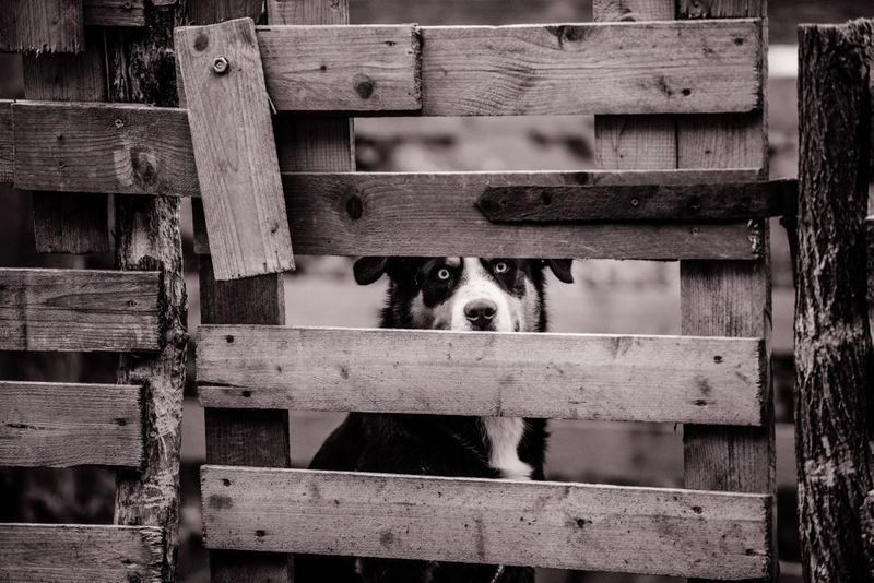 Hiding more than usual