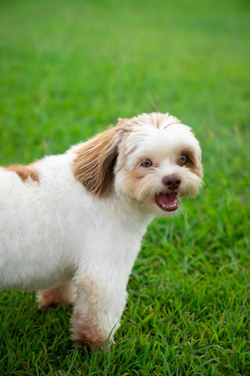 Easygoing personality