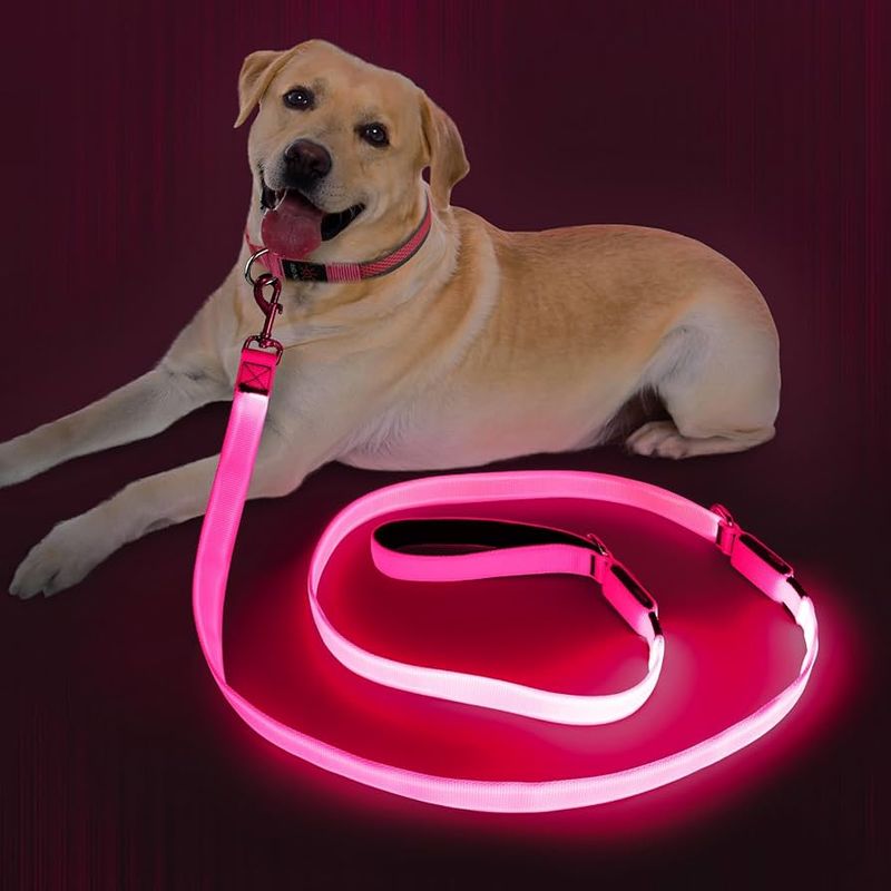 Reflective Safety Leash