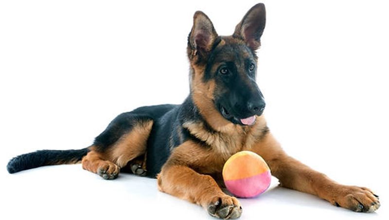 Constant Need for Mental Stimulation