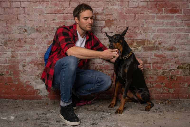 10 deeply attached dog breeds that stay glued to their humans constantly 11 Doberman Pinscher