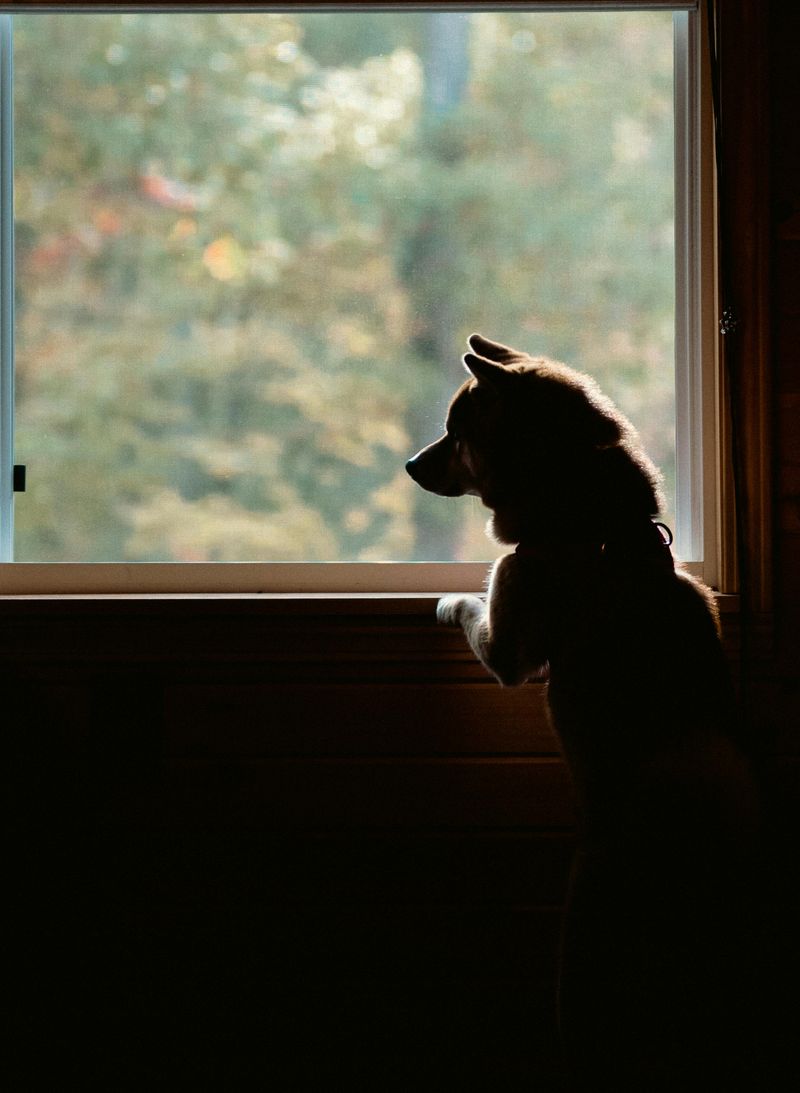 Watching entry points closely