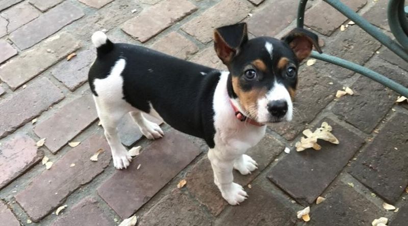 Short Training Sessions