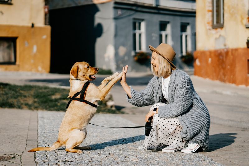 Positive Reinforcement