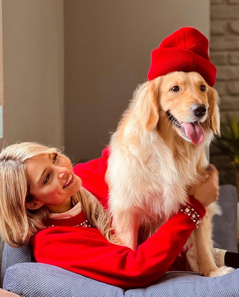 9 Big Dog Breeds That Often Act Like Lap Dogs 9 Golden Retriever