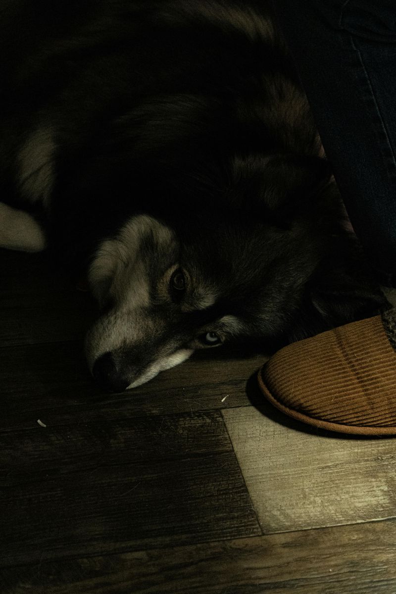 Having trouble settling down and constantly changing positions