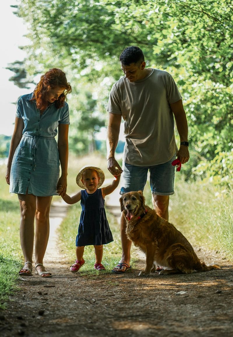 18 Proven Reasons Dogs Are Humanity’s Most Faithful Companions 9 Building Social Connections