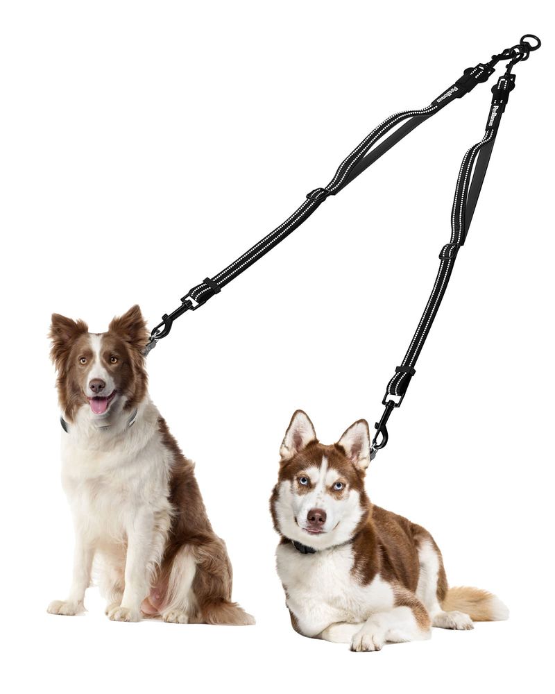 Double-Dog Leash
