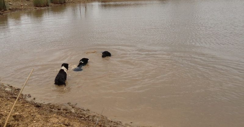 Water Sources Underground