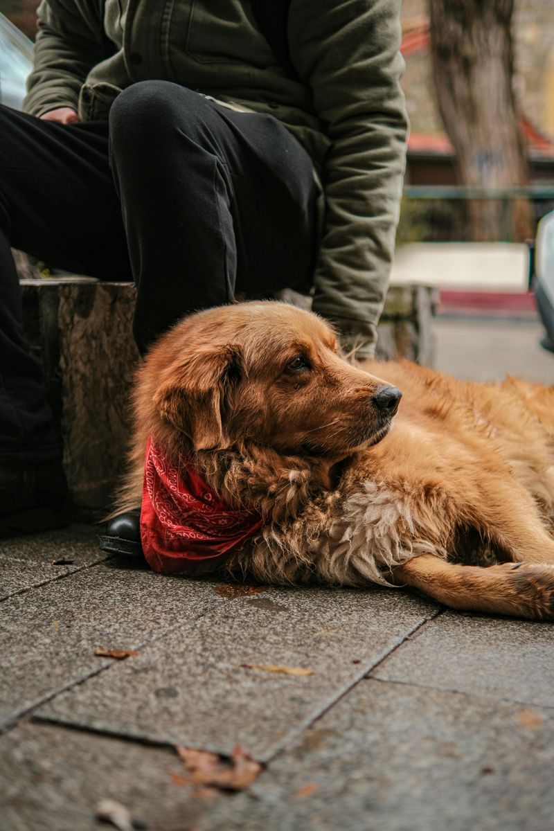 They Calm Down When You’re Calm