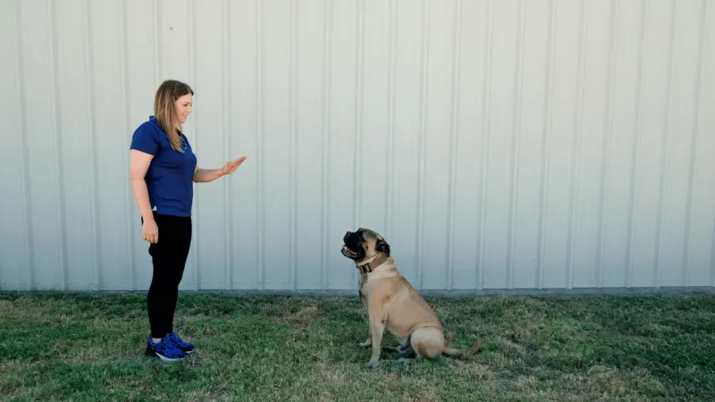 Giving Instructions Without Follow-Through