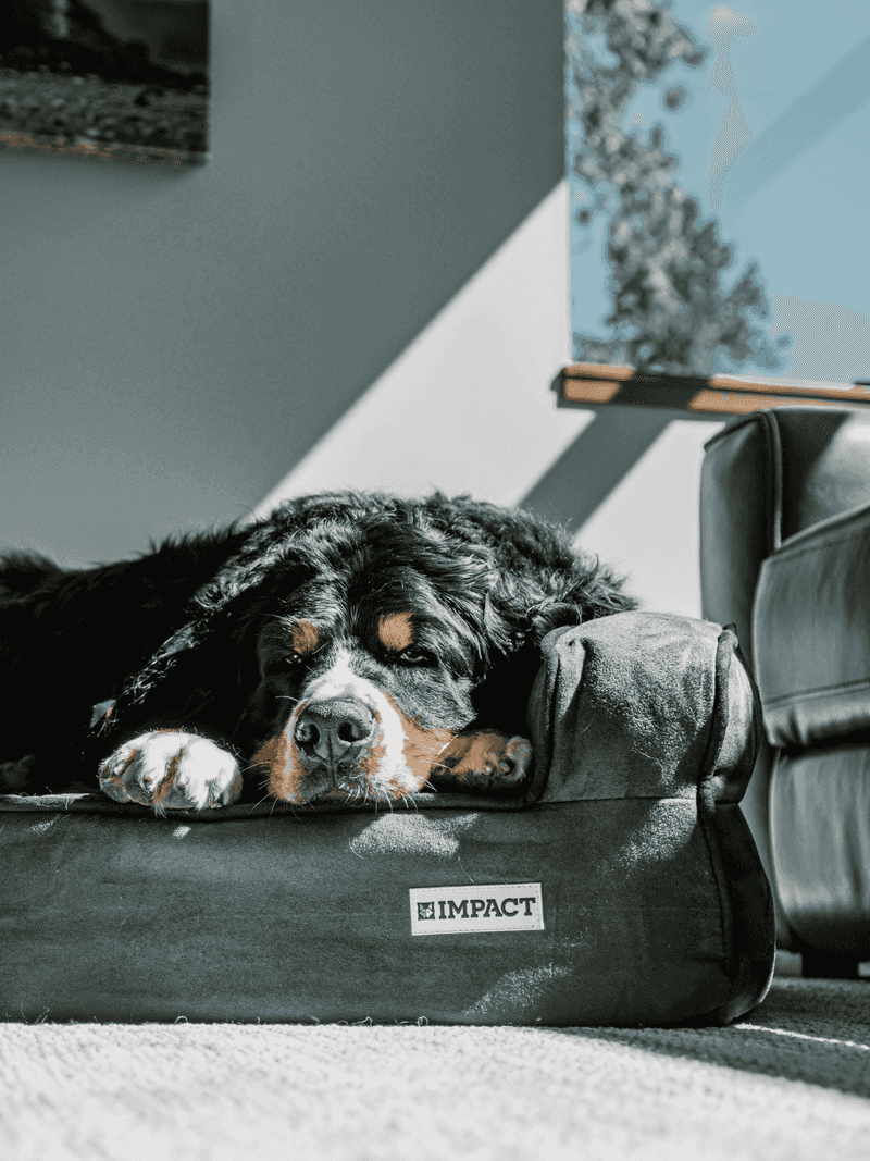 Before trying something complicated, change these everyday habits instead 12 Prioritize quality sleep