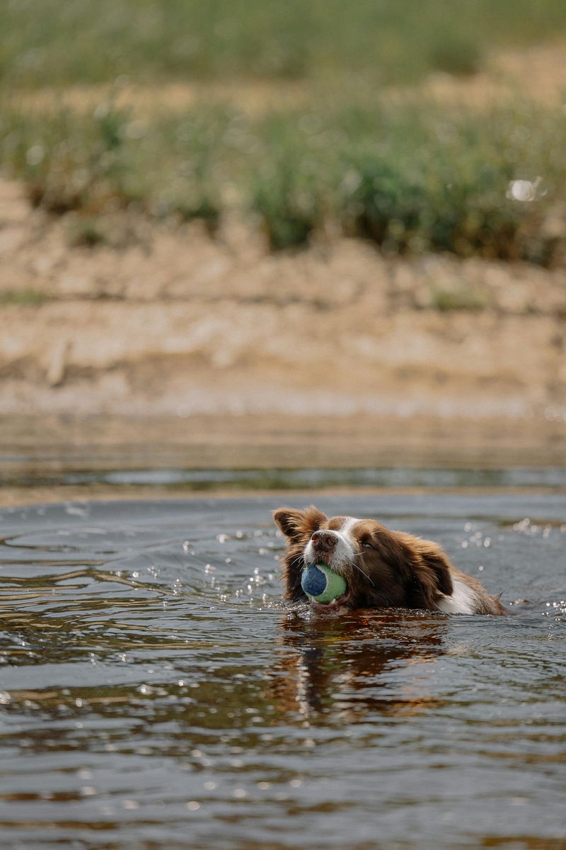 Swimming in Safe, Shallow Water