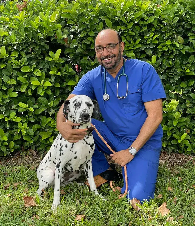 20 Important Factors to Consider Before Purchasing a Dog from a Breeder 11 High Veterinary Costs from Poor Breeding