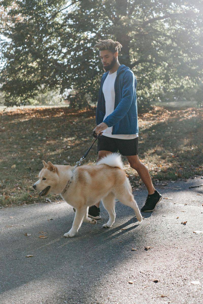 If walks feel stressful, one of these 11 mistakes could be the reason 9 Walking in overstimulating areas