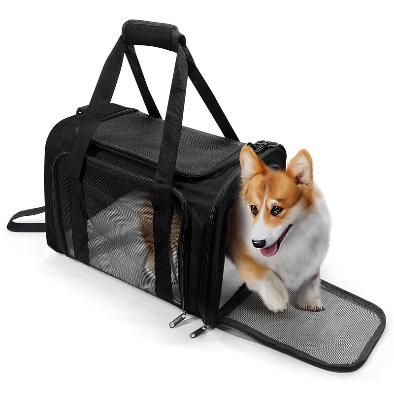AmazonBasics Soft-Sided