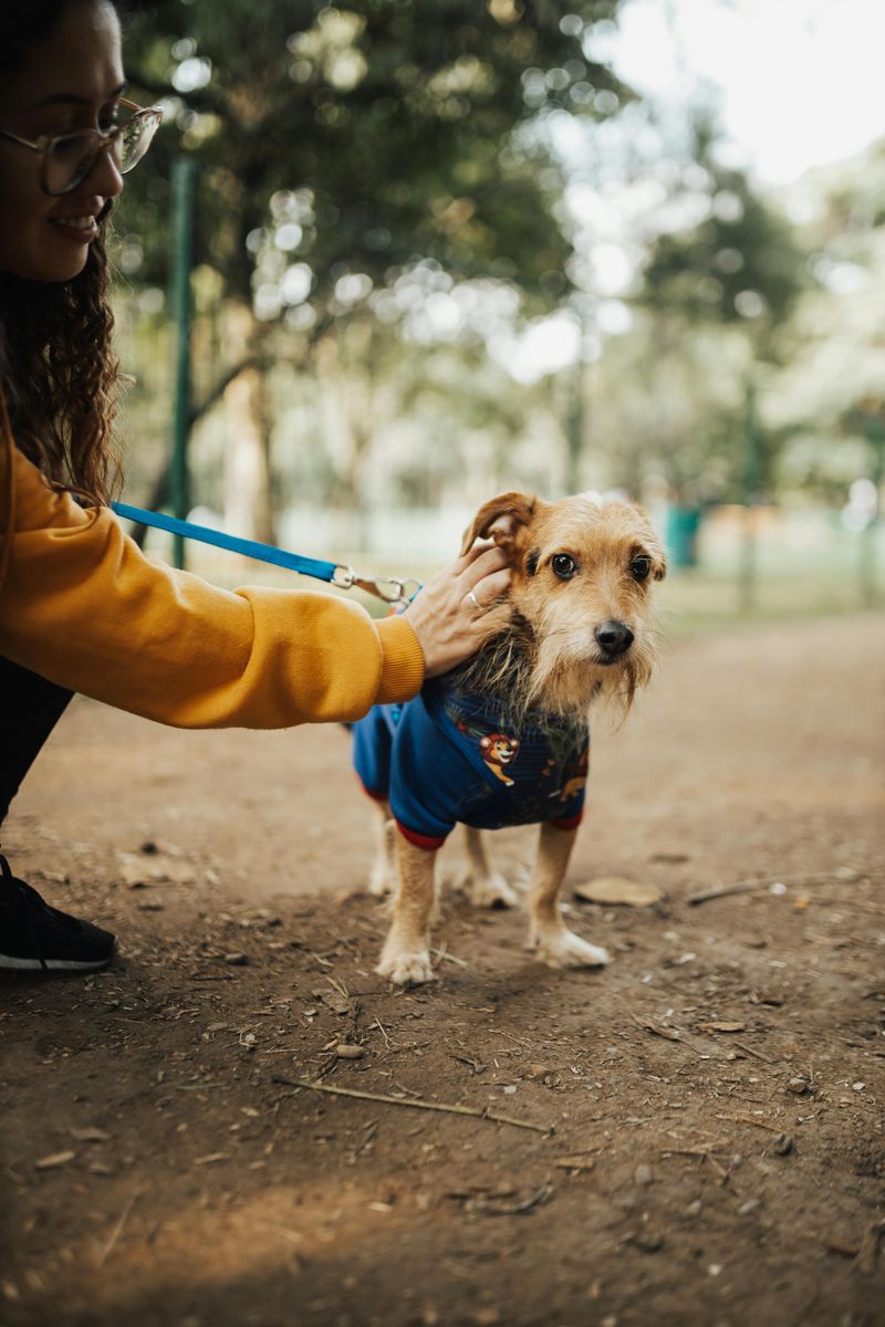 Greets other people confidently when you’re around