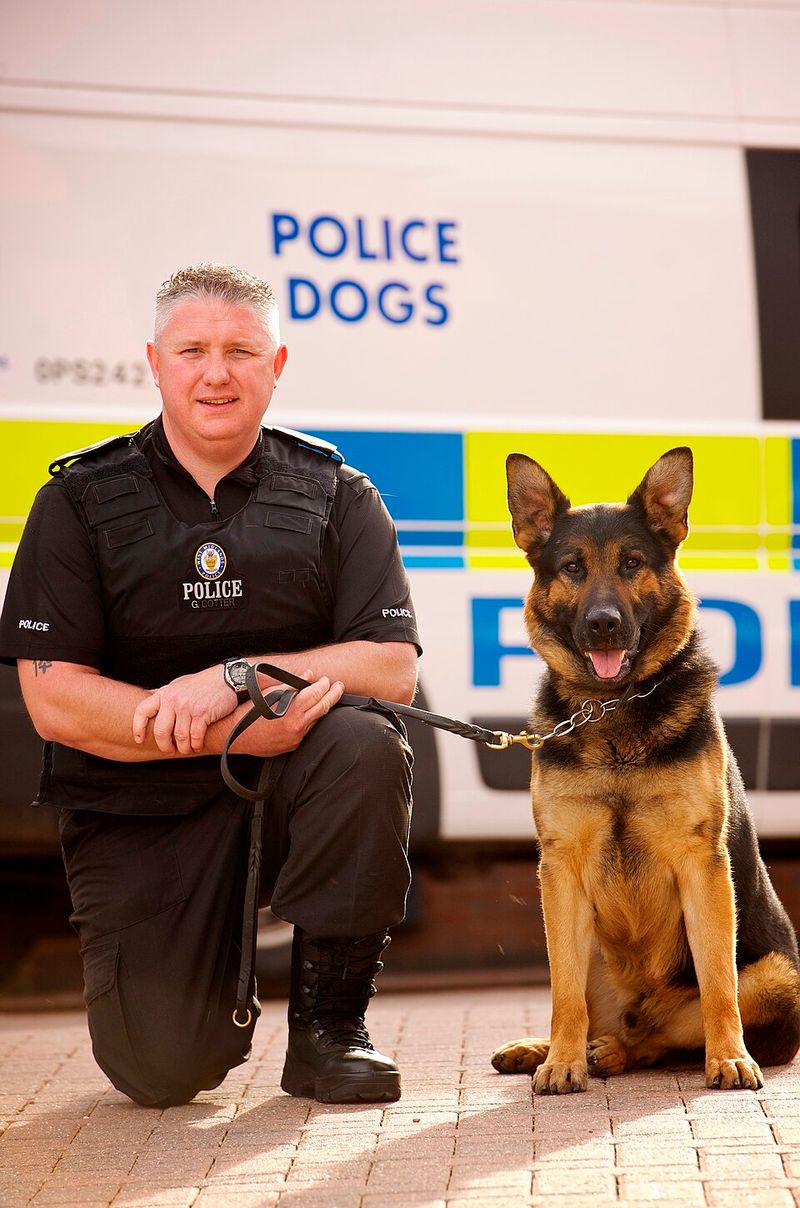Only trained police dogs show aggression.