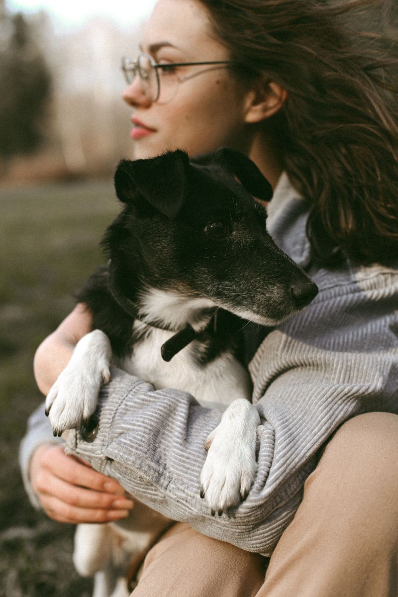 If your dog does these 10 things, you've earned something special 11 Stays close when you're upset