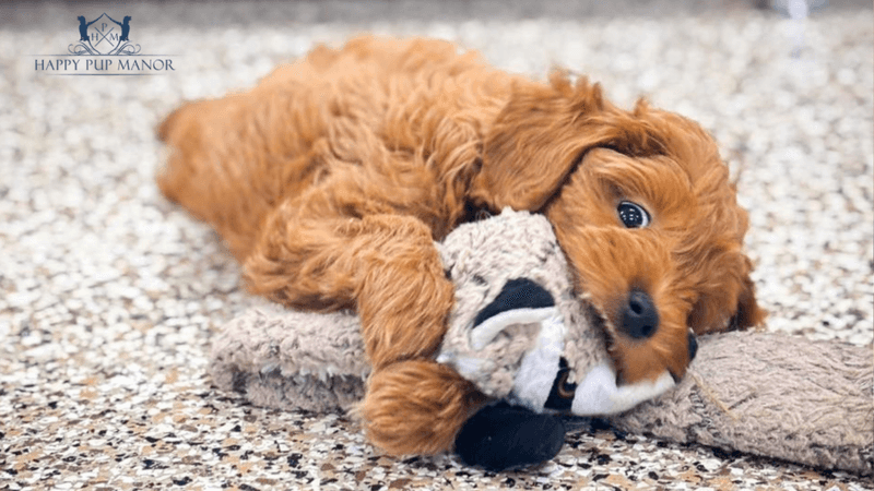 It’s safer than silence