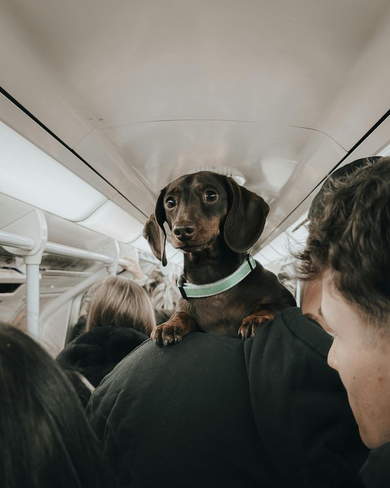 Travel Considerations