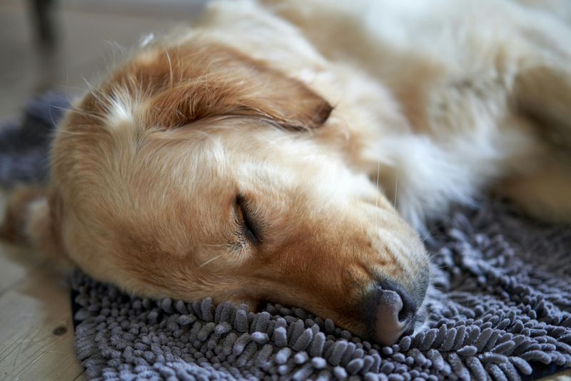 Increased Sleep or Lethargy