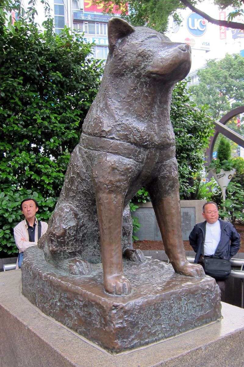 20 Famous Dogs Remembered for Bravery, Loyalty, and Service 7 Hachikō