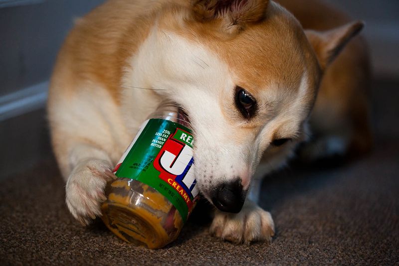 Peanut Butter