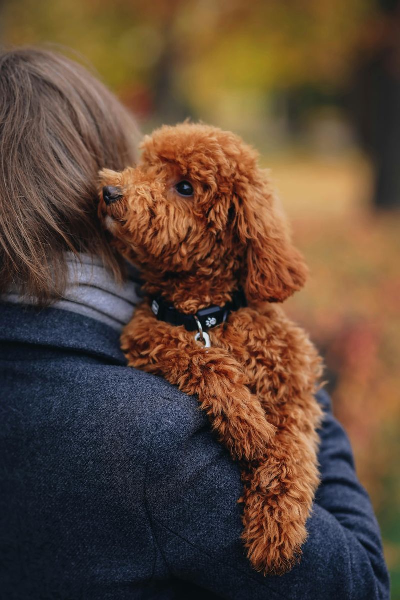 Loyal to their families