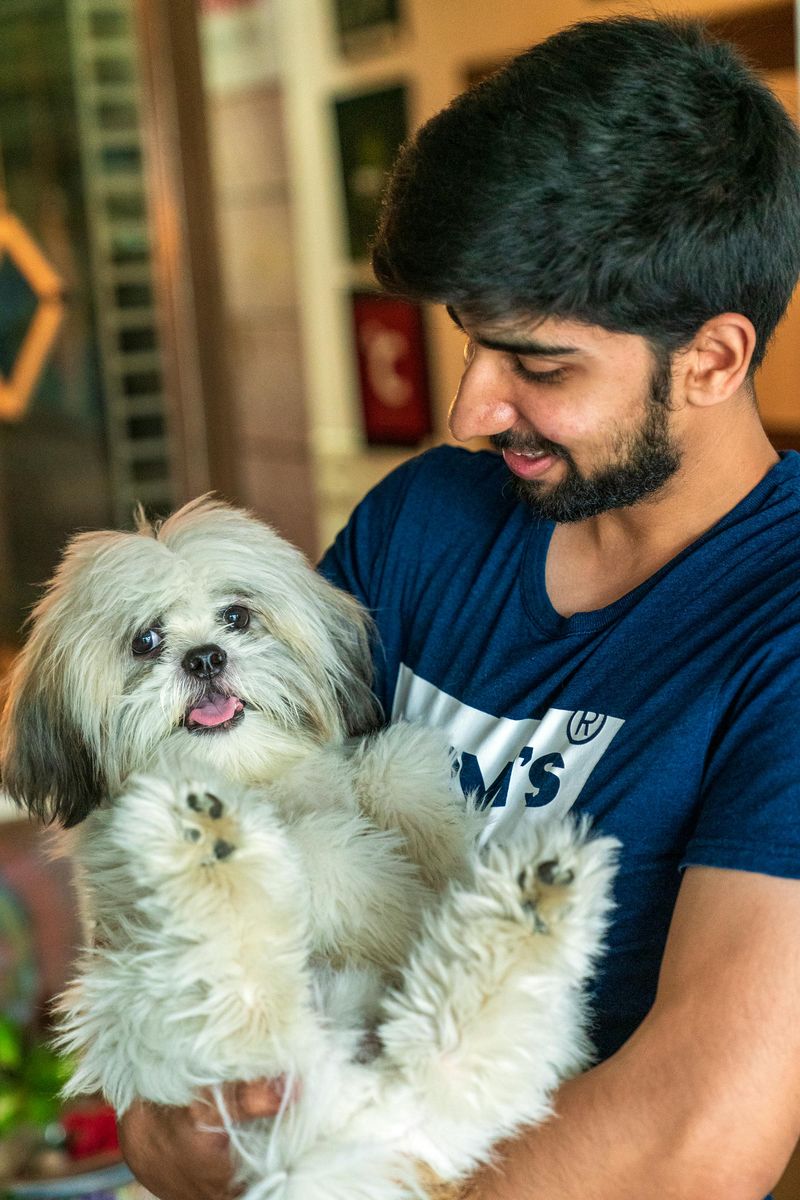 Small size makes them perfect lap dogs